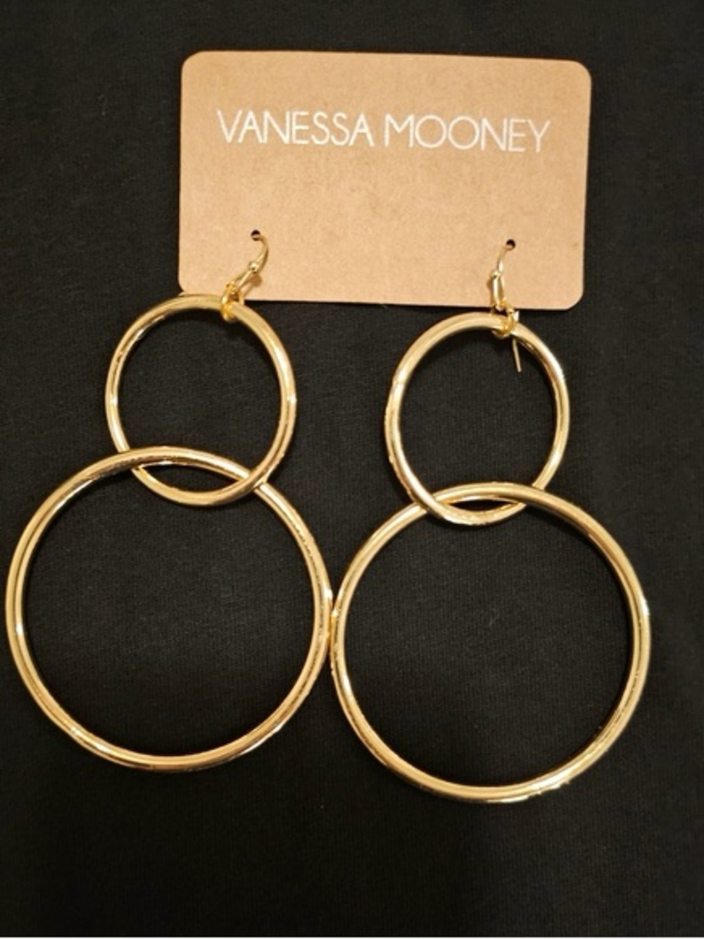 Vanessa Mooney  The Interlocking Hoop Earrings in Gold